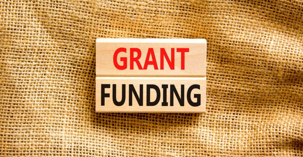 Strategies for Small Businesses in Accessing Government Grants